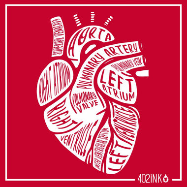 Anatomical Heart Medical Terms