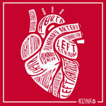 Anatomical Heart Medical Terms