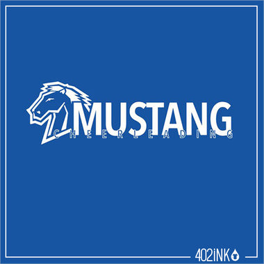 MN Cheerleading